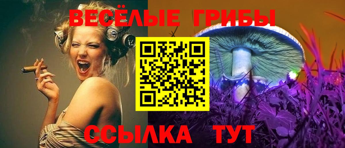 Псилоцибиновые грибы прущие грибы Губаха