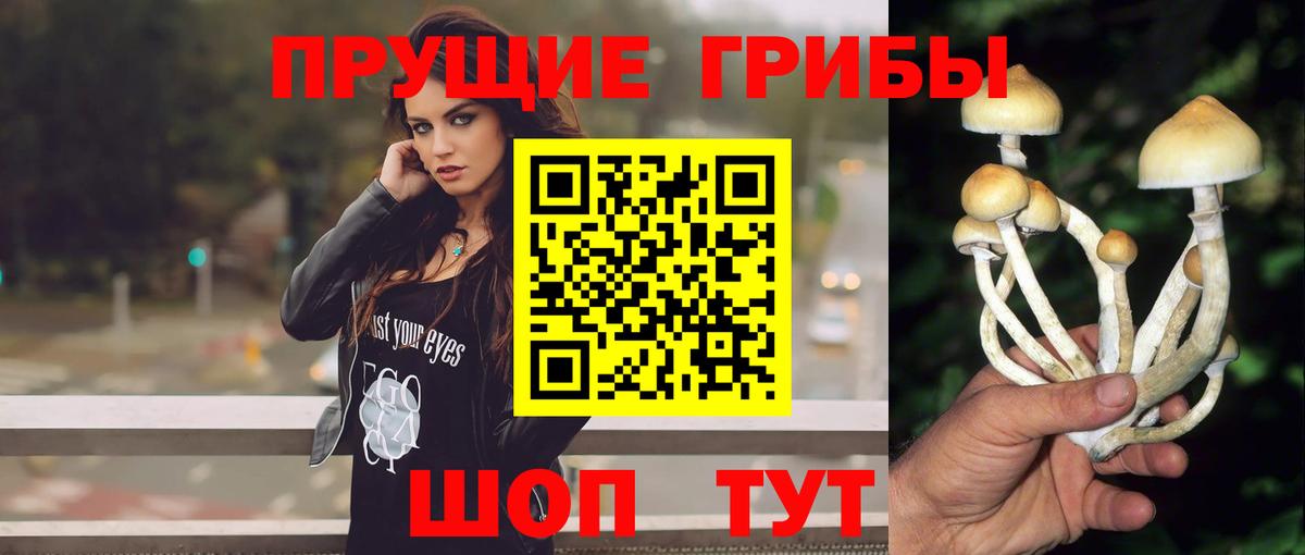 Псилоцибиновые грибы Psilocybe  Вход с VPN  Губаха  Галлюциногенные грибы мухоморы 
